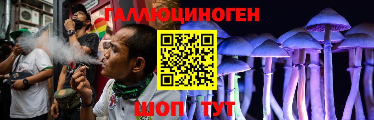Псилоцибиновые грибы MAGIC MUSHROOMS Тихвин