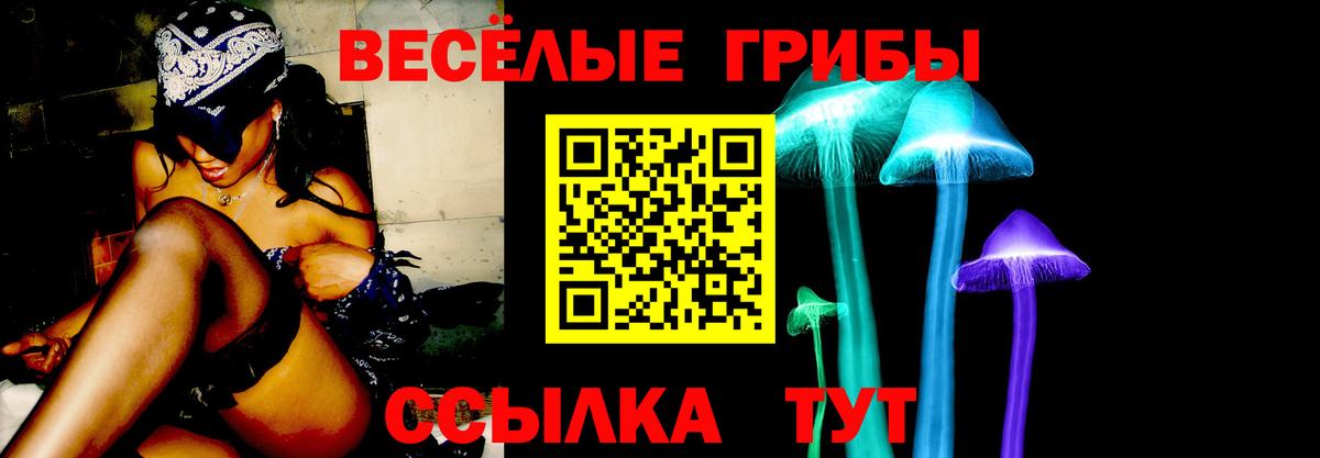 Тихвин  Галлюциногенные грибы мухоморы  Галлюциногенные грибы ЛСД  купить  цена  Вход с VPN 